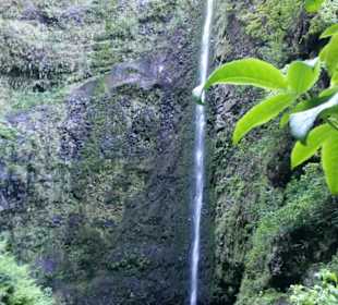 Levada Wanderung