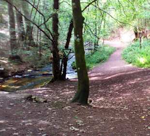 Pfälzer Waldpfad in Kaiserslautern