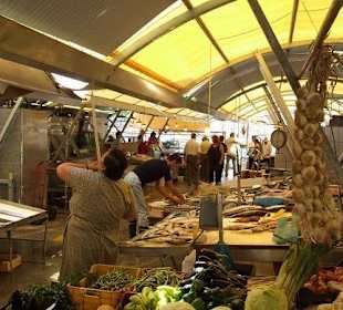 Wochenmarkt - Kräuter