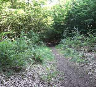 Premiumwanderweg "hochgesprudelt"