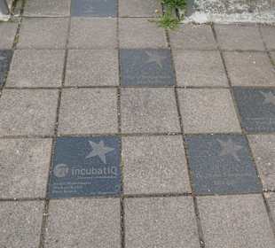 Das Sternendenkmal - mein Stern für Magdeburg