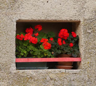 Restaurant Malga mure