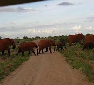 Wie viele kommen denn noch?