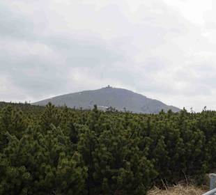 Berg Schneekoppe/Śnieżka