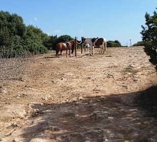 Unterwegs die Aussicht