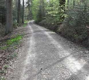 Walderlebnisweg Rottenburg