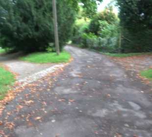 Aussichtspunkt Hasenberganlage