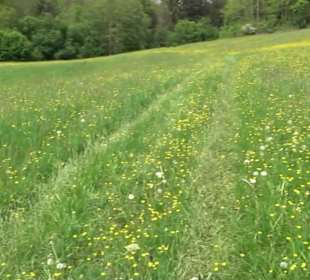 Naturpark Schönbuch