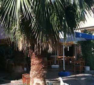 Canards dans Kaleiçi