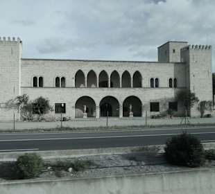 Bei einer organisierten Busrundfahrt auf Mallorca