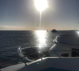 Schnorcheln Marsa Alam