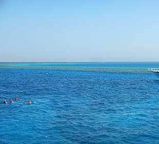 Delfintour 22.10.2013