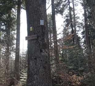 Wanderung Florianrunde