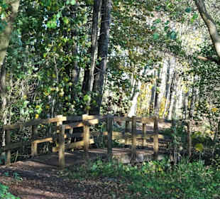 Eindrücke vom Rundweg durch den Volkspark Bokel