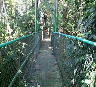 Nationalpark Tirimbina