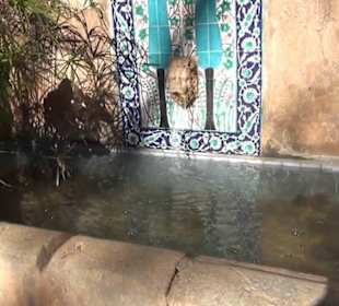 Innenhöfe - Springbrunnen