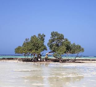 El Qulaan Lagoon 