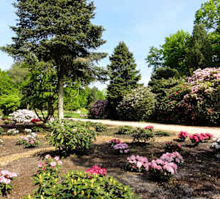 Impressionen vom Rundweg durch den Park