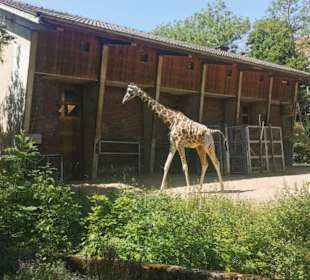 Zoologischer Garten Köln