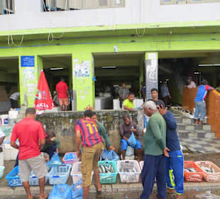 Unterwegs im einheimischen Markt 