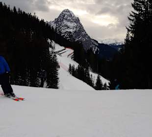 Wandern Kochelbergalm - Aulealm