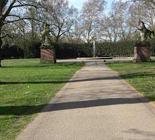 Historische Platanenallee im Unteren Schloßgarten