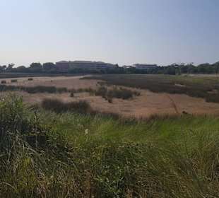 Füllen die Lücken im Sandbereich