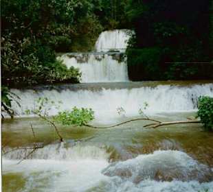 Y.S. Falls