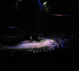 Show "Creatures of the Night"