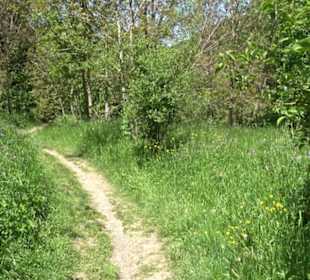 Wiesaztal Gönningen