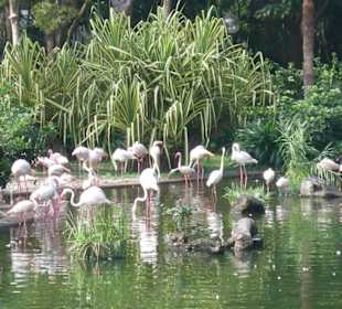 Kowloon Park - Wunderschön