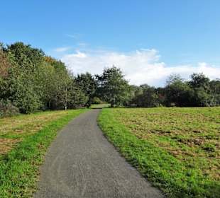 Rundgang durch den Landschaftspark Mühlenhunte