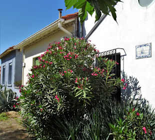 Der Charme der Strandhäuser von Le Racou