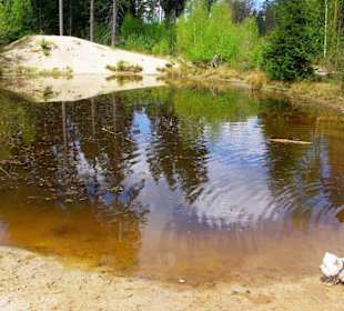 Kleine Wassertümpel