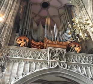 Stephansdom, Orgel