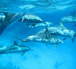 Unsere Unterwasserwelt