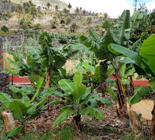 Landschaft von La Gomera