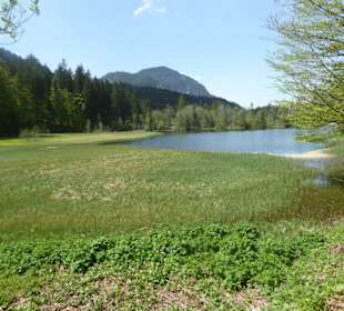 Suttensee