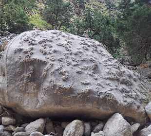 Samaria-Schlucht, Riesensteinen mit Fossilienspuren