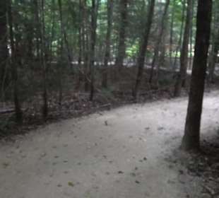 Dinosaurier Museum Altmühltal