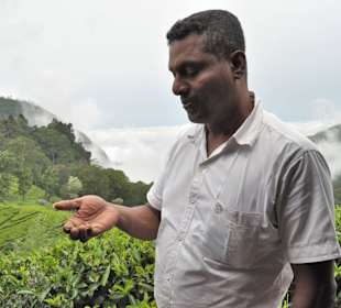 Sri Lanka