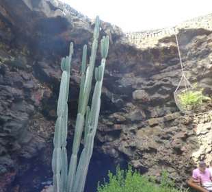 Jameos del Agua