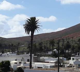 Haria - Tal der 1000 Palmen