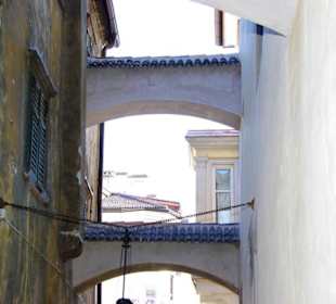 Bozen im Bild Eindrücke-Impressionen