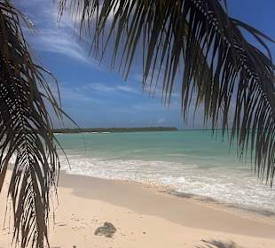 Isla Saona 