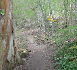 Eiszeitpfad - Burgfelsenpfad