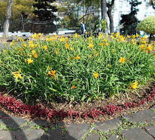 Parque de Santa Catarina