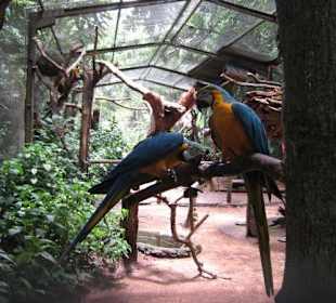 Exotische Fauna und Flora zum anfassen