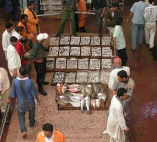 Fischmarkt im Hafen von Agadir