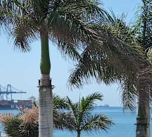 Las Palmas de Gran Canaria